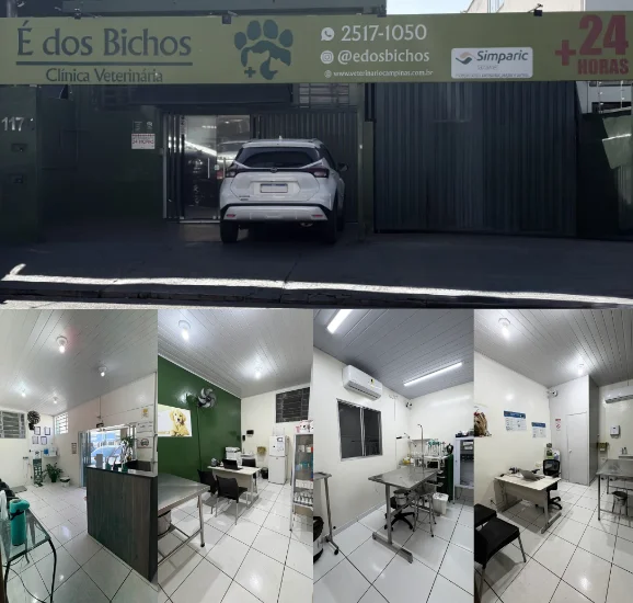 É dos Bichos Campinas