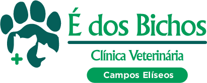 É dos Bichos Campinas
